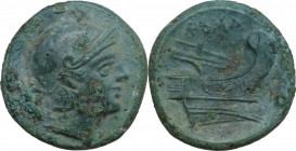 Semilibral series. AE Quartuncia, 217-215 BC. Cr. 38/8. AE. 2.12 g. 15.00 mm. Of great beauty. Superb turquoise patina. Light corrosion spots and uncl...