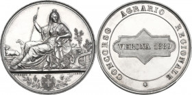 Regnando Umberto I (1844-1900). Medaglia 1889 Verona, Concorso Agrario Regionale. Breda 8 p. 49. AG. 25.98 g. 40.00 mm. FDC/PF.