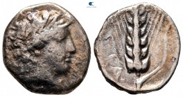 Lucania. Metapontion circa 330-290 BC. Didrachm AR