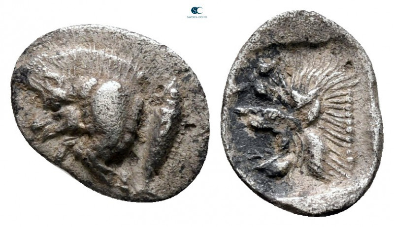 Mysia. Kyzikos circa 525-475 BC. 
Hemiobol AR

10 mm, 0,39 g



very fine