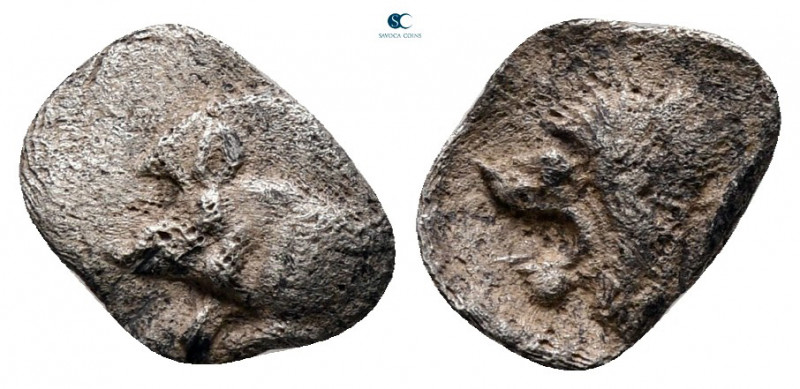 Mysia. Kyzikos circa 525-475 BC. 
Hemiobol AR

7 mm, 0,32 g



nearly ver...