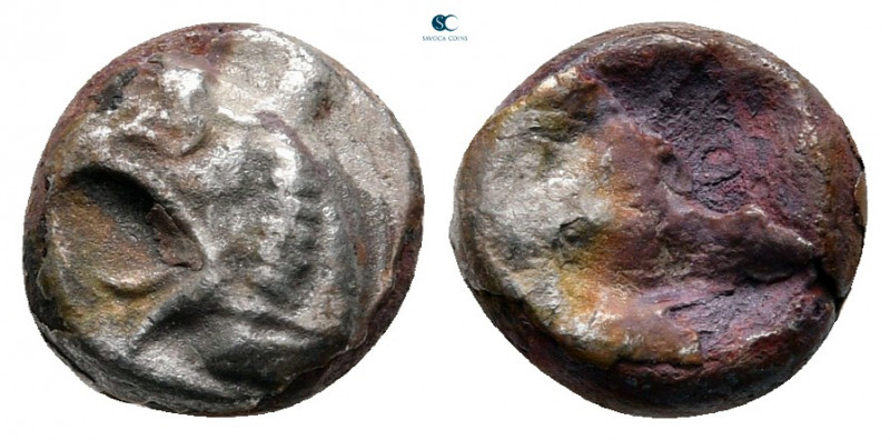 Ionia. Phokaia circa 521-478 BC. 
Trihemiobol AR

9 mm, 1,26 g



nearly ...