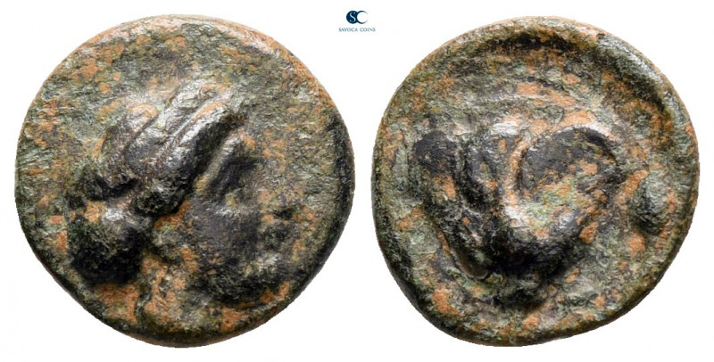 Islands off Caria. Rhodos circa 350-300 BC. 
Bronze Æ

11 mm, 1,18 g



v...