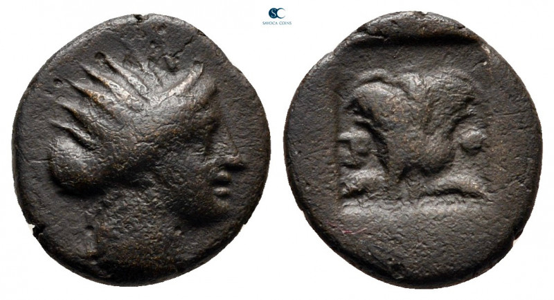 Islands off Caria. Rhodos circa 188-84 BC. 
Bronze Æ

12 mm, 1,57 g



ve...