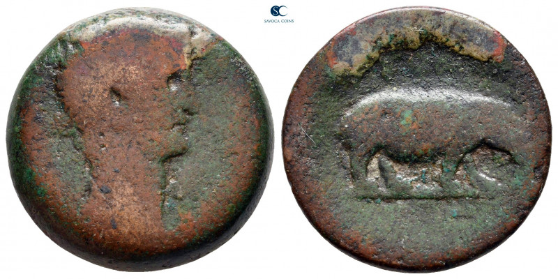 Egypt. Alexandria. Claudius AD 41-54. 
Diobol Æ

23 mm, 8,96 g



fine