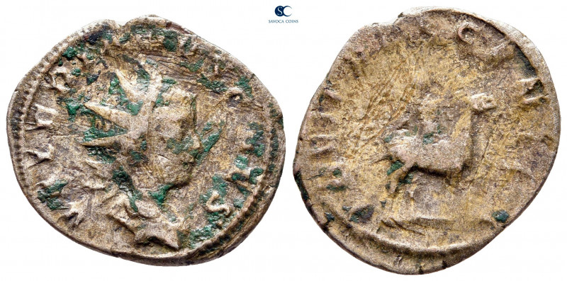 Valerian II, Caesar AD 256-257. Colonia Agippinensium (Cologne)
Billon Antonini...