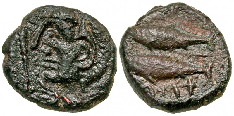 Iberia, Gadir. Early 1st century B.C. AE half unit (17.8 mm, 5.03 g, 3 h). Head ...
