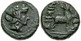 Macedon, Thessalonica. Ca. 187-131 B.C. AE 18 (17.9 mm, 6.15 g, 1 h). Head of Dionysos right, wearing ivy wreath / ΘΕΣΣΑΛΟΝΙΚHΣ, goat standing right. ...