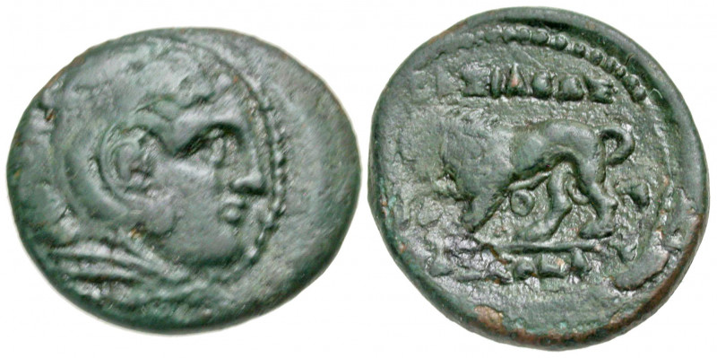 Macedonian Kingdom. Kassander. 316-297 B.C. AE half unit (18.6 mm, 3.41 g, 4 h)....