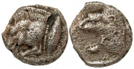 Mysia, Kyzikos. Ca. 450-400 B.C. AR obol (9.76 mm, 0.91 g, 4 h). Forepart of boar left; behind, tunny upward / Head of roaring lion left within incuse...