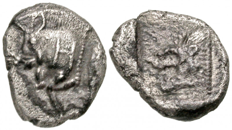 Mysia, Kyzikos. Ca. 450-400 B.C. AR hemiobol (11.0 mm, 1.11 g, 5 h). Forepart of...
