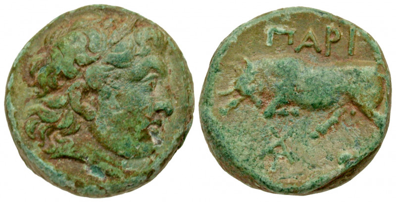 Mysia, Parion. Ca. 2nd-1st Century B.C. AE 20 (20.0 mm, 9.33 g, 10 h). Laureate ...