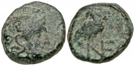 Aiolis, Neonteichos. 3rd-2nd centuries B.C. AE 10 (10.1 mm, 1.12 g, 10 h). Helmeted head of Athena right / Owl standing right, head facing; NE monogra...