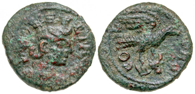Troas, Alexandria Troas. Pseudo-Autonomous. Time of Valerian I - Gallienus, A.D....