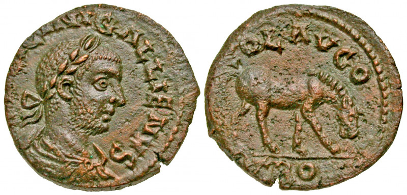 Troas, Alexandria Troas. Gallienus. A.D. 253-268. AE 21 (20.83 mm, 5.00 g, 1 h)....