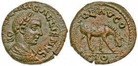 Troas, Alexandria Troas. Gallienus. A.D. 253-268. AE 21 (20.83 mm, 5.00 g, 1 h). [IMP LI]CINI GALLIENVS, laureate, draped and cuirassed bust of Gallie...