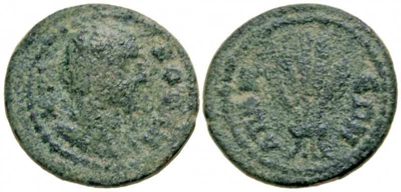 Phrygia, Apameia. Pseudo-Autonomous. Severan era, ca. A.D. 193-235. AE 22 (22 mm...