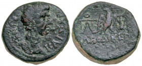 Phrygia, Laodicea ad Lycum. Gaius Caesar. 20 B.C. - A.D. 4 AE hemiassarion (14.4 mm, 3.26 g, 1 h). Struck ca. 5. B.C. Antonius Polemon, philopatris. Γ...