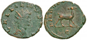 Gallienus. A.D. 253-268. AE antoninianus (19.20 mm, 3.07 g, 7 h). Rome mint, struck A.D. 267-268. GALLIENVS AVG, radiate head right / DIANAE CONS AVG,...