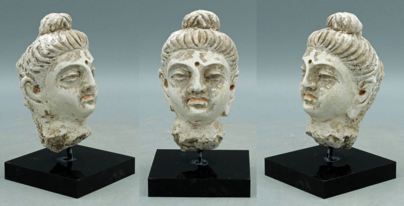 A special Gandharan stucco head from the Indus Valley, ca. 4th - 5th Century A.D...