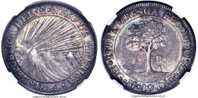 Central American Republic 8 Reales 1825 NG-M AU58 NGC, Nueva Guatemala mint, KM4, WR-11, Elizondo-85, Stickney-C92. A borderline Mint State specimen, ...