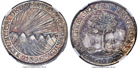 Central American Republic 8 Reales 1826 NG-M MS61 NGC, Nueva Guatemala mint, KM4, WR-11, Elizondo-86, Stickney-C92. A conditionally challenging date w...