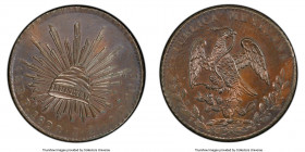 Republic bronze Specimen Pattern 8 Reales 1829 Pi-JS SP62 Brown PCGS, London mint, KM-Pn21 (mistakenly listed with different assayer's initials), Gutt...