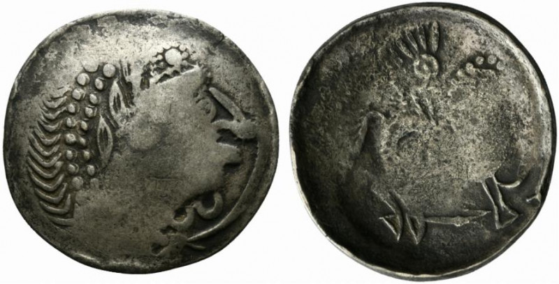 Celtic, Eastern Europe, c. 2nd-1st century BC. AR Scyphate Tetradrachm (32mm, 12...