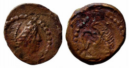 Central Italy, local issue, c. 1st century BC. Æ (22.5mm, 6.17g, 9h). Female head r. R/ Lion head l. Near VF