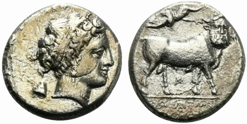 Southern Campania, Neapolis, c. 320-300 BC. AR Didrachm 19mm, 6.97g, 9h). Head o...