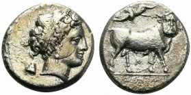 Southern Campania, Neapolis, c. 320-300 BC. AR Didrachm 19mm, 6.97g, 9h). Head of nymph r.; pileos behind head, monogram before. R/ Man-headed bull st...
