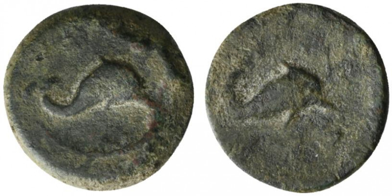 Northern Apulia, Salapia, c. 275-250 BC. Æ (15mm, 3.60g, 9h). Dolphin r. R/ Dolp...
