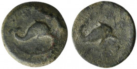 Northern Apulia, Salapia, c. 275-250 BC. Æ (15mm, 3.60g, 9h). Dolphin r. R/ Dolphin r. HNItaly 689; SNG ANS -. Scarce, green patina, VF