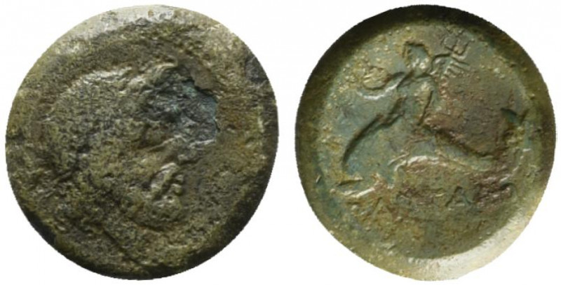 Northern Lucania, Paestum, 264-241 BC. Æ (20mm, 6.76g, 6h). Laureate head of Nep...