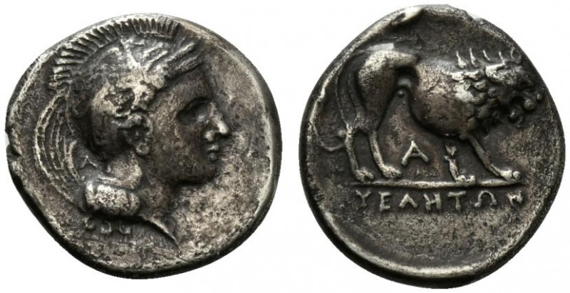 Northern Lucania, Velia, c. 340-334 BC. AR Didrachm (20mm, 7.29g, 3h). Head of A...
