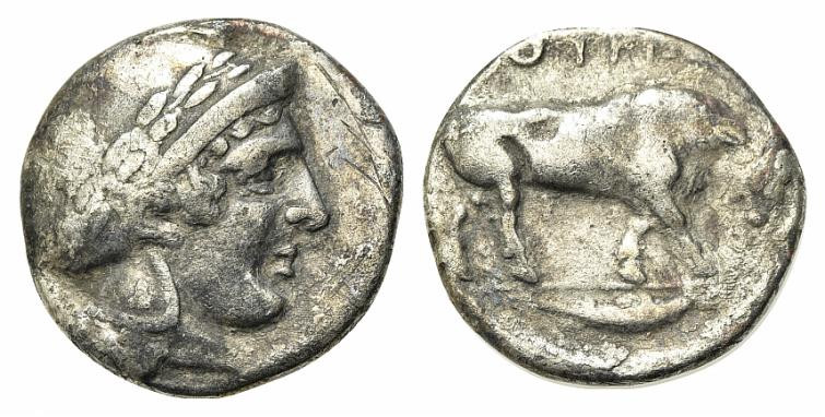 Southern Lucania, Thourioi, c. 443-400 BC. AR Stater (21mm, 7.53g, 6h). Helmeted...