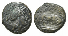 Southern Lucania, Thourioi, c. 435-410/05 BC. Æ (14mm, 3.37g, 3h). Helmeted head of Athena r. R/ Bull butting r.; fish below. Cf. HNItaly 1904. Good F...