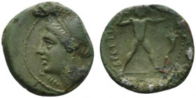 Bruttium, The Brettii, c. 214-211 BC. Æ Half Unit (18mm, 4.31g, 9h). Head of Nike l., wearing stephanos; grain ear behind neck. R/ Zeus standing r., w...