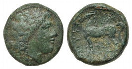 Bruttium, Nuceria, c. 225-200 BC. Æ (21.5mm, 9.48g, 9h). Laureate head of Apollo r. R/ Horse standing l.; pentagram below. HNItaly 2438; SNG ANS 595–7...