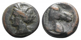 Carthaginian Domain, Sardinia, c. 300-264 BC. Æ (19mm, 5.72g, 1h). Head of Tanit l. R/ Horse’s head r.; letter above. Piras 55; SNG Copenhagen 152. Ne...