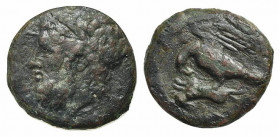 Sicily, Akragas, c. 338-317/287 BC. Æ (19mm, 5.74g, 6h). Laureate head of Zeus l. R/ Eagle standing l. on hare. CNS I, 116; SNG ANS 1113-6; HGC 2, 164...