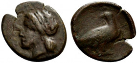 Sicily, Akragas. Phintias (287-279 BC). Æ (17mm, 2.14g, 9h). Laureate head of Apollo l. R/ Eagle standing r., looking back. CNS I, 119; SNG ANS 1125-6...