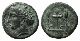Sicily, Alaisa Archonidea, 344-339/8 BC. Æ Hemilitron (24mm, 12.15g, 5h). Timoleontic Symmachy coinage. Head of the nymph Pelorias l., hair bound in a...