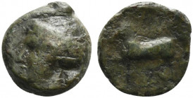 Sicily, Eryx, c. 4th century BC. Æ (14mm, 3.07g, 10h). Female head l. R/ Horse stepping l. Campana 51; CNS I, 19; SNG ANS -; HGC 2, 327. Fine - Good F...