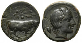 Sicily, Gela, c. 420-405 BC. Æ Tetras (16.5mm, 3.87g, 11h). Bull standing r.; olive-branch above. R/ Head of river-god r.; grain behind. CNS III, 46; ...
