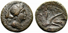 Sicily, Kentoripai, c. 2nd century BC. Æ Hexas (16mm, 3.36g, 12h). Draped bust of Persephone r., grain ear in hair; stalk of grain behind. R/ Plow wit...