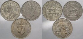 Africa Orientale Britannica - lotto di 3 monete da 1 shilling (1911,1925,1948) - Ag/Ni
mediaamente SPL

Spedizione solo in Italia / Shipping only i...