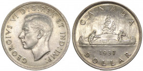 Canada - Giorgio VI (1936-1952) - dollaro 1937 - KM# 37 - Ag
SPL

Spedizione solo in Italia / Shipping only in Italy