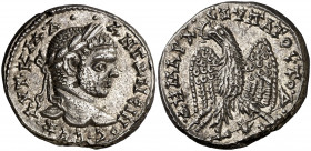 (213-217 d.C.). Caracalla. Siria. Laodicea ad Mare. Tetradracma. (S.GIC. 2657). 13,39 g. EBC.