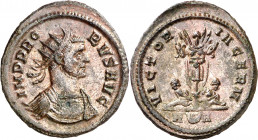 (278-280 d.C.). Probo. Antoniniano. (Spink 12055) (Co. 768) (RIC. 222). 4,46 g. EBC-.